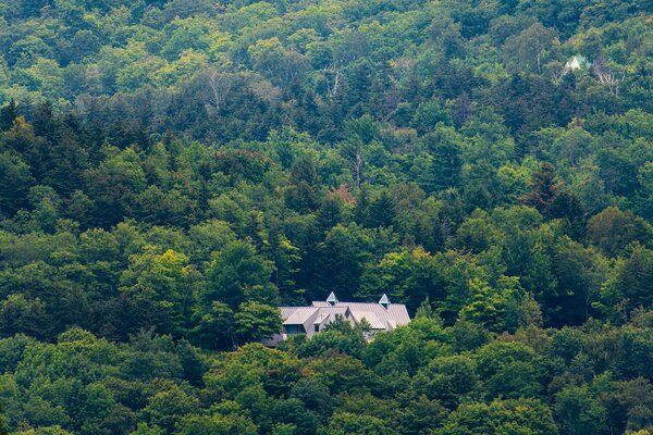 Although there are several houses nearby, the homeowners relish the privacy and tranquility provided by the surrounding dense forest. 