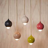 Droplet Pendant by Entler